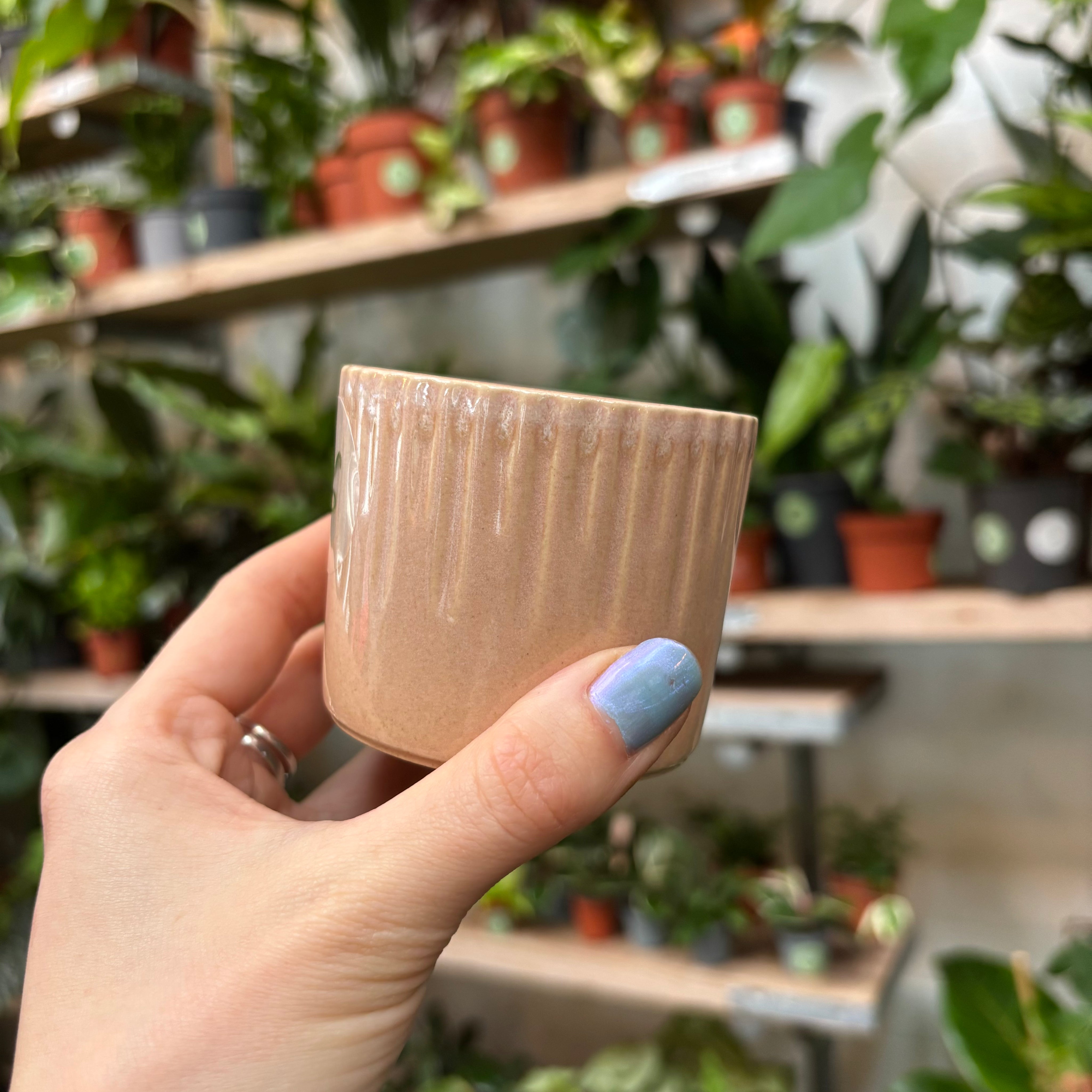 Espresso - Yoghurt