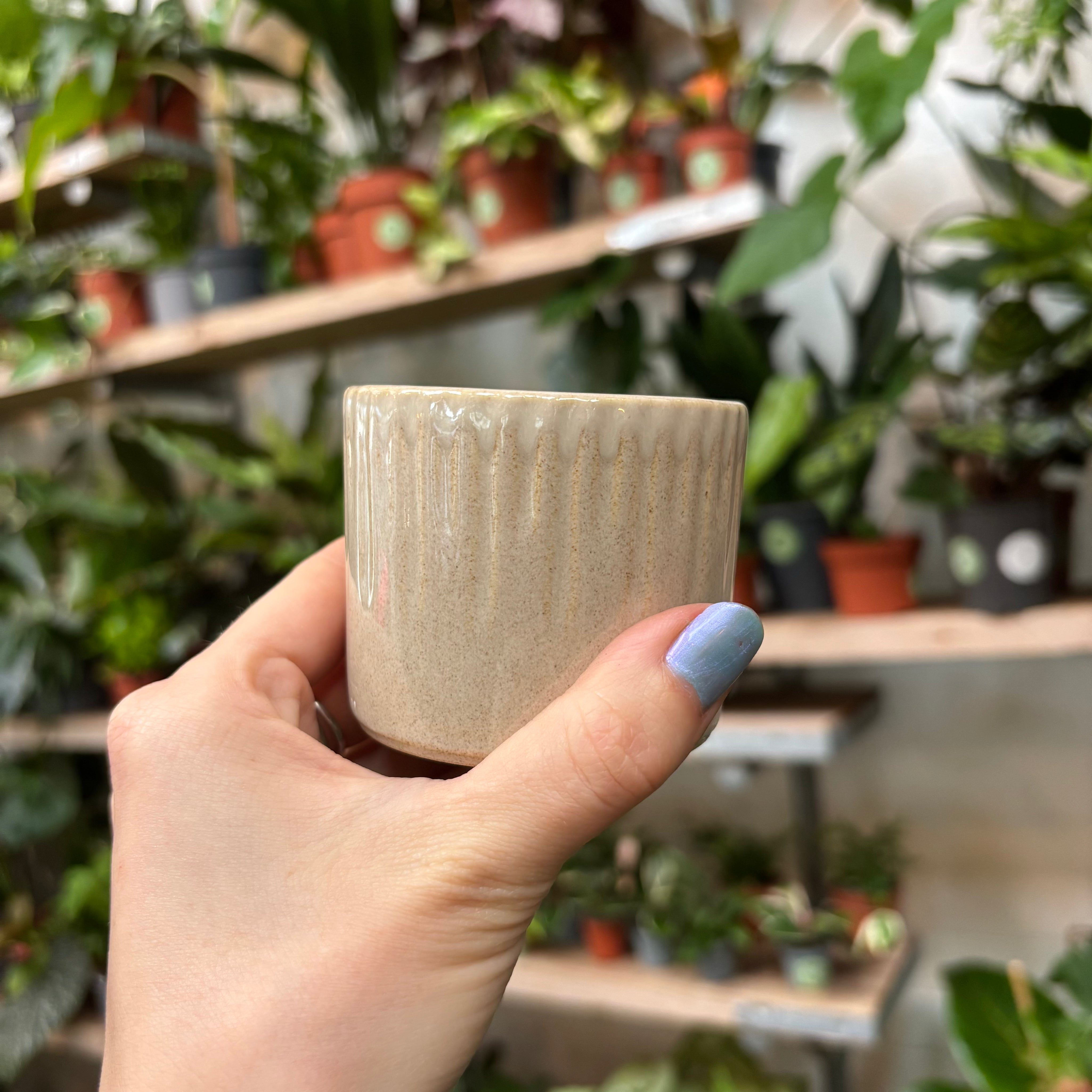 Espresso - Oat