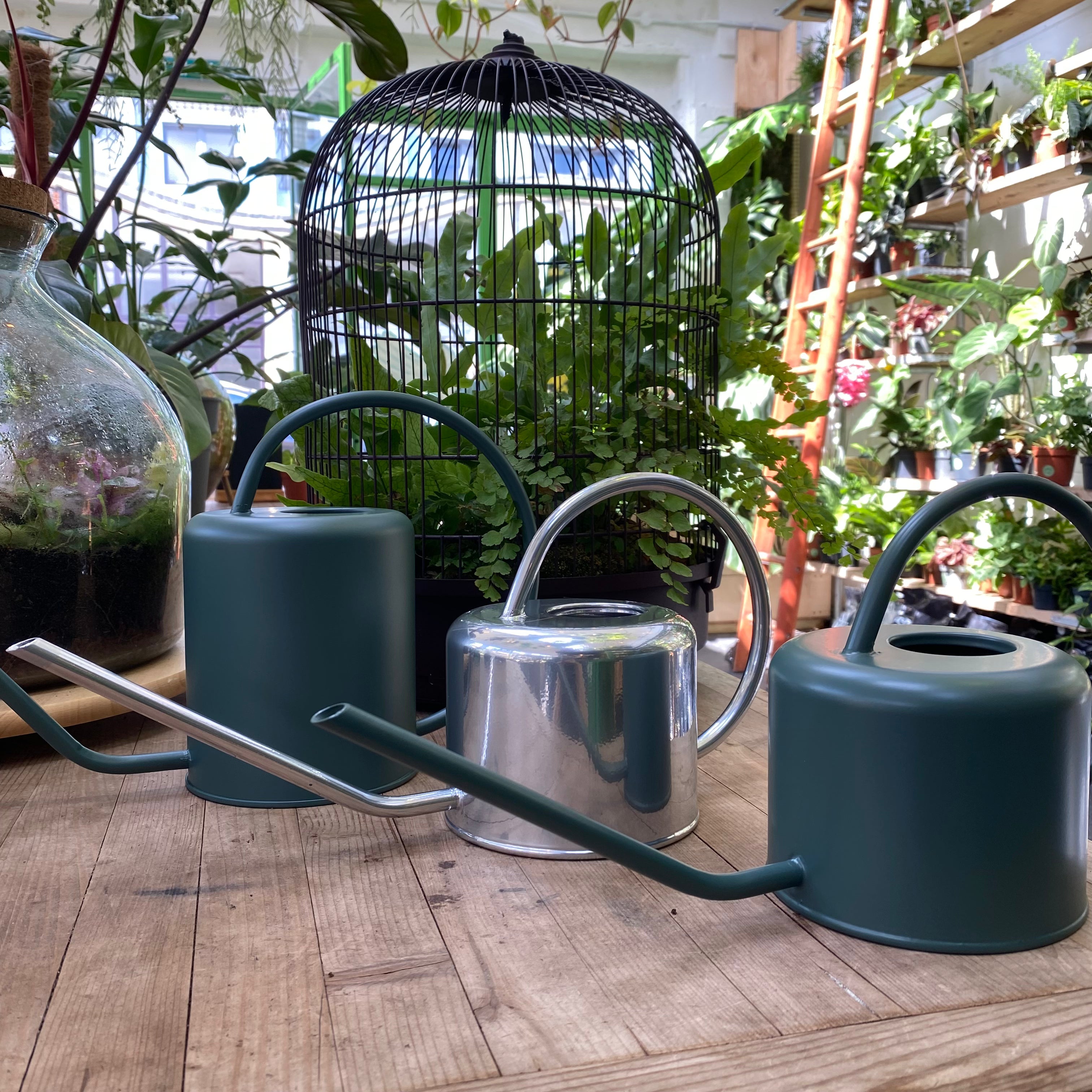Indoor Watering Can