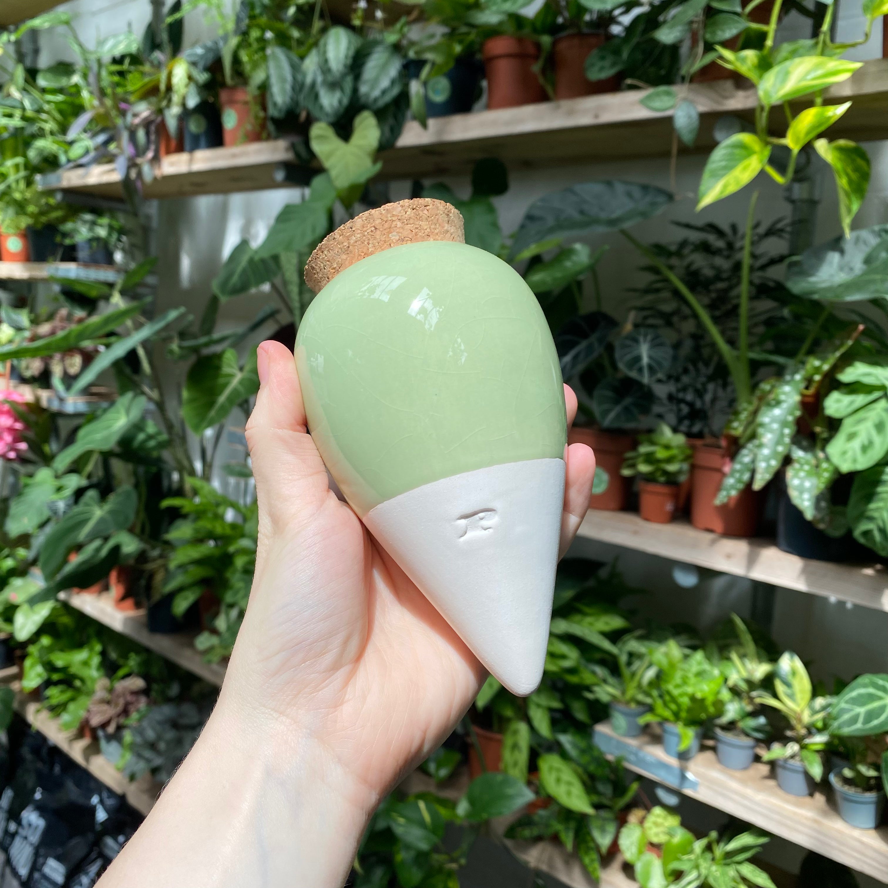 Olla - Self Watering System