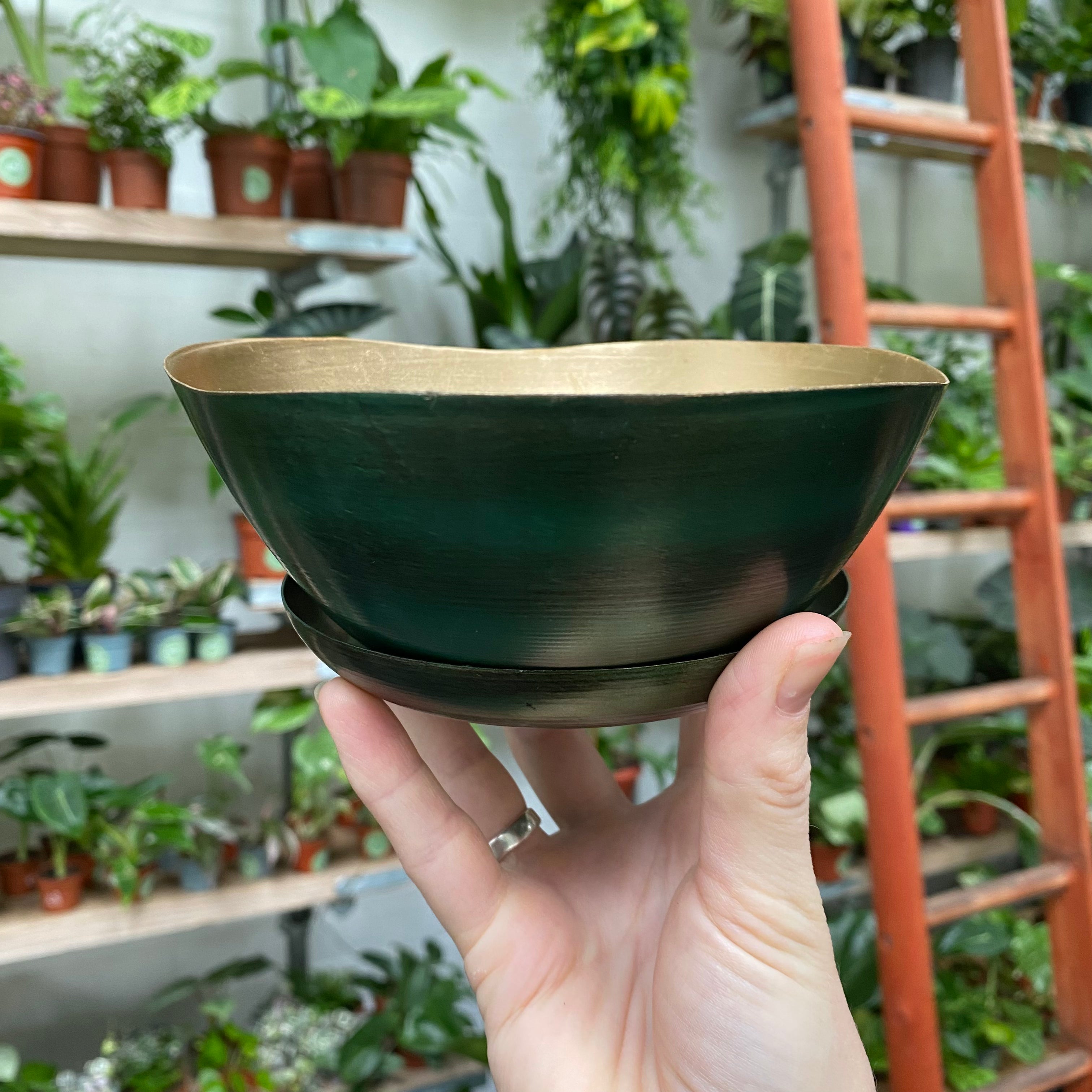 Green Bowl Planter & Saucer