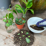 Intro to Propagation