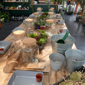 Corked Jar Terrarium Workshop