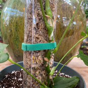 Flat Pack Moss Pole