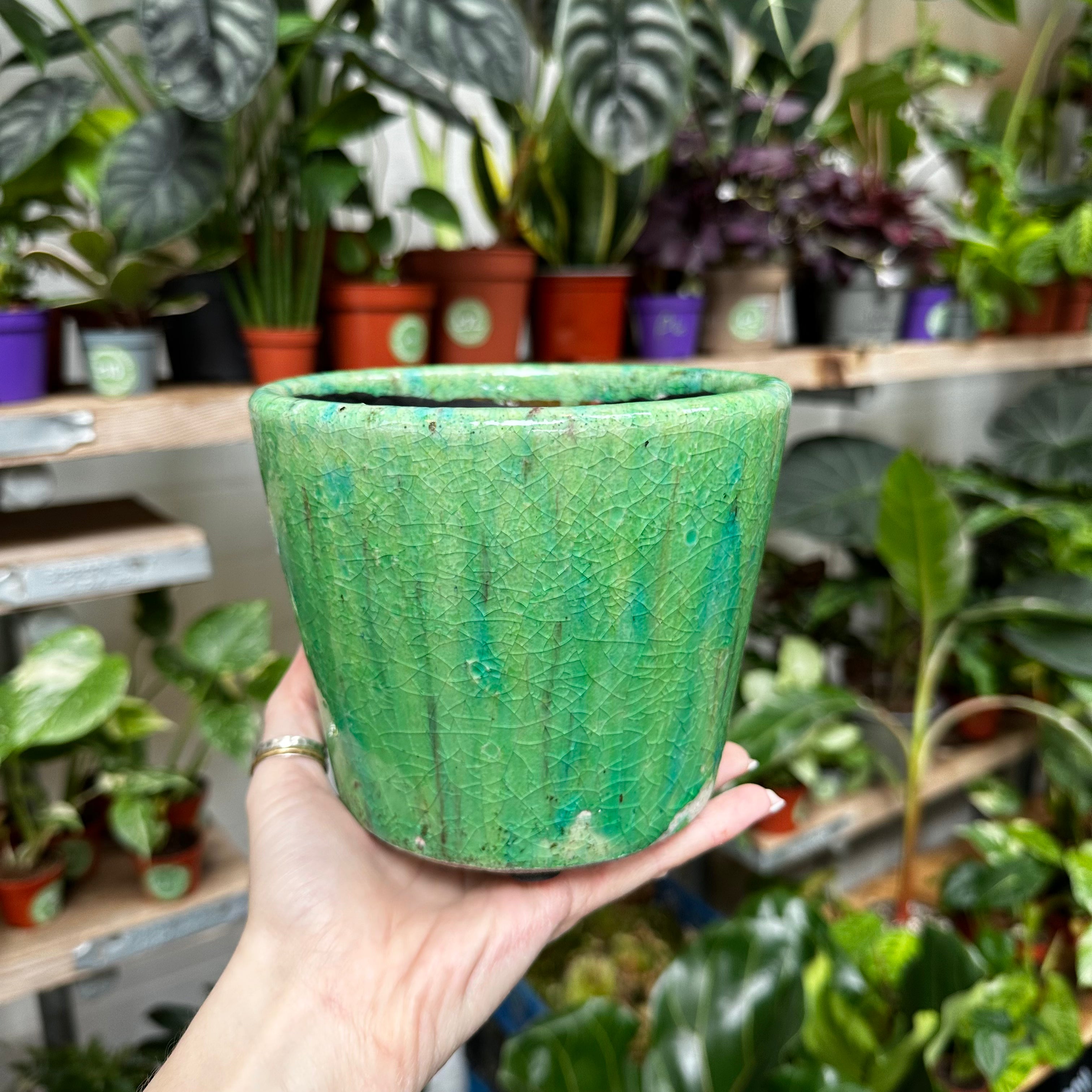 Stained Glass Deco Pot - Pond Weed