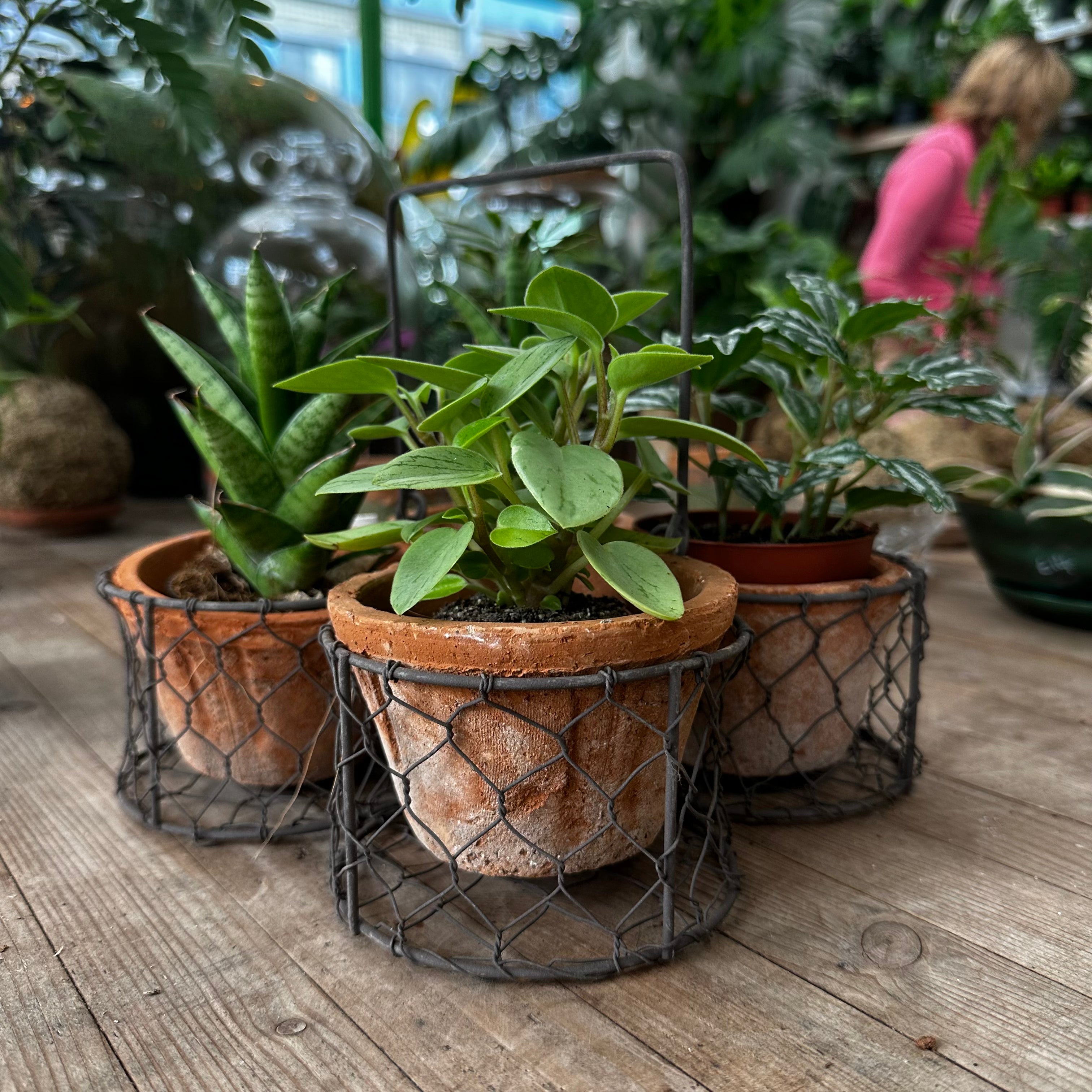 Terracotta Pots & Basket