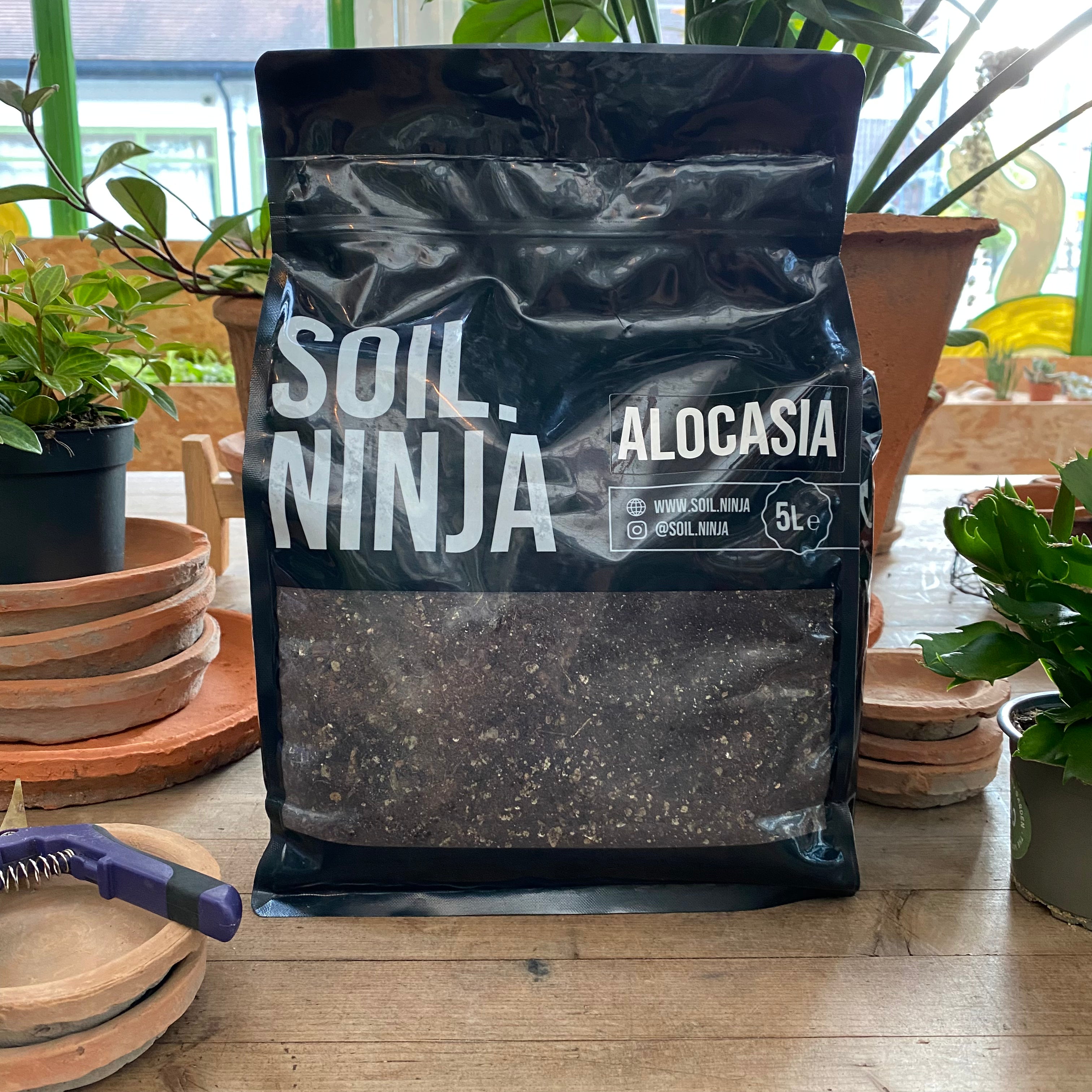 Alocasia Soil Mix