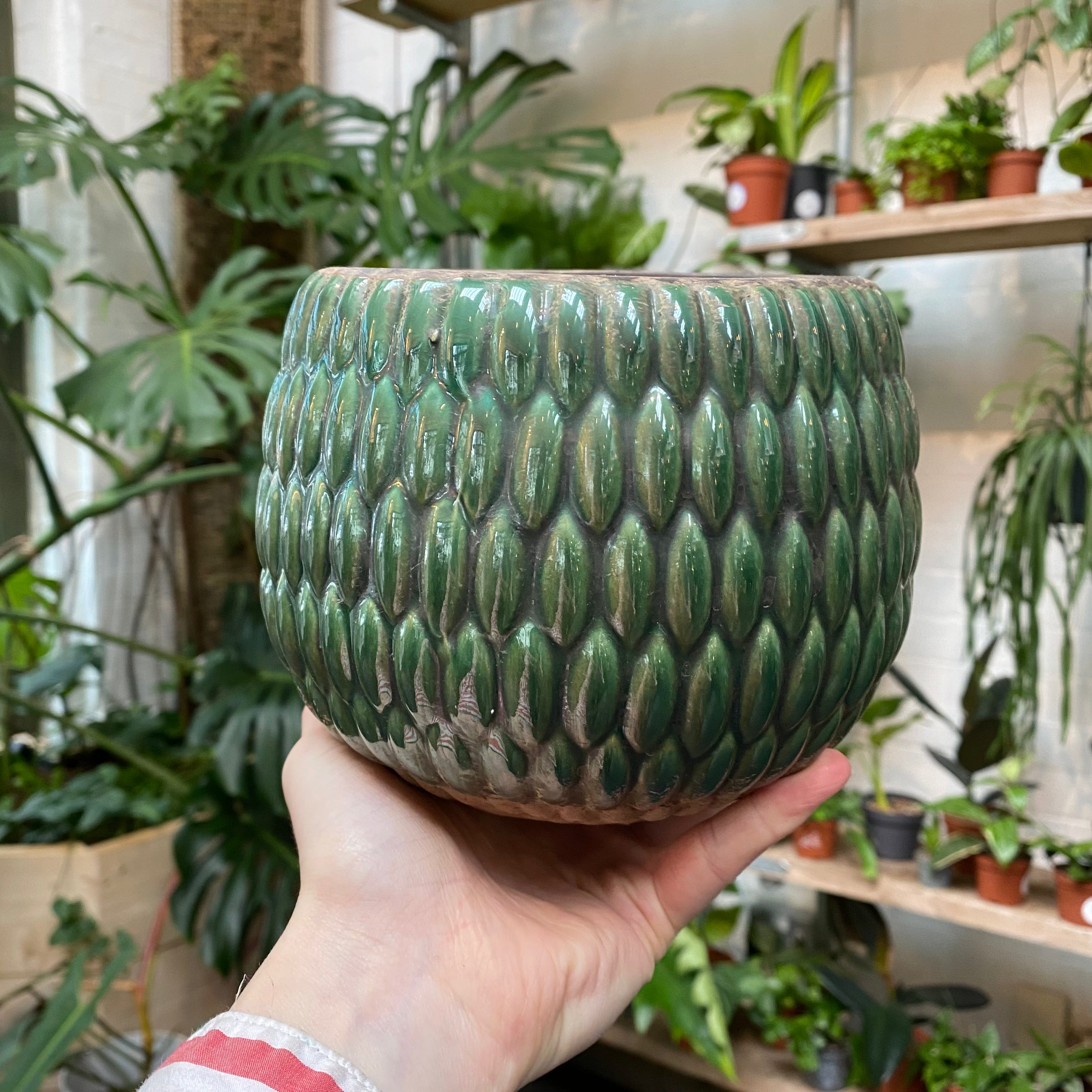 Armadillo Decorative Pot