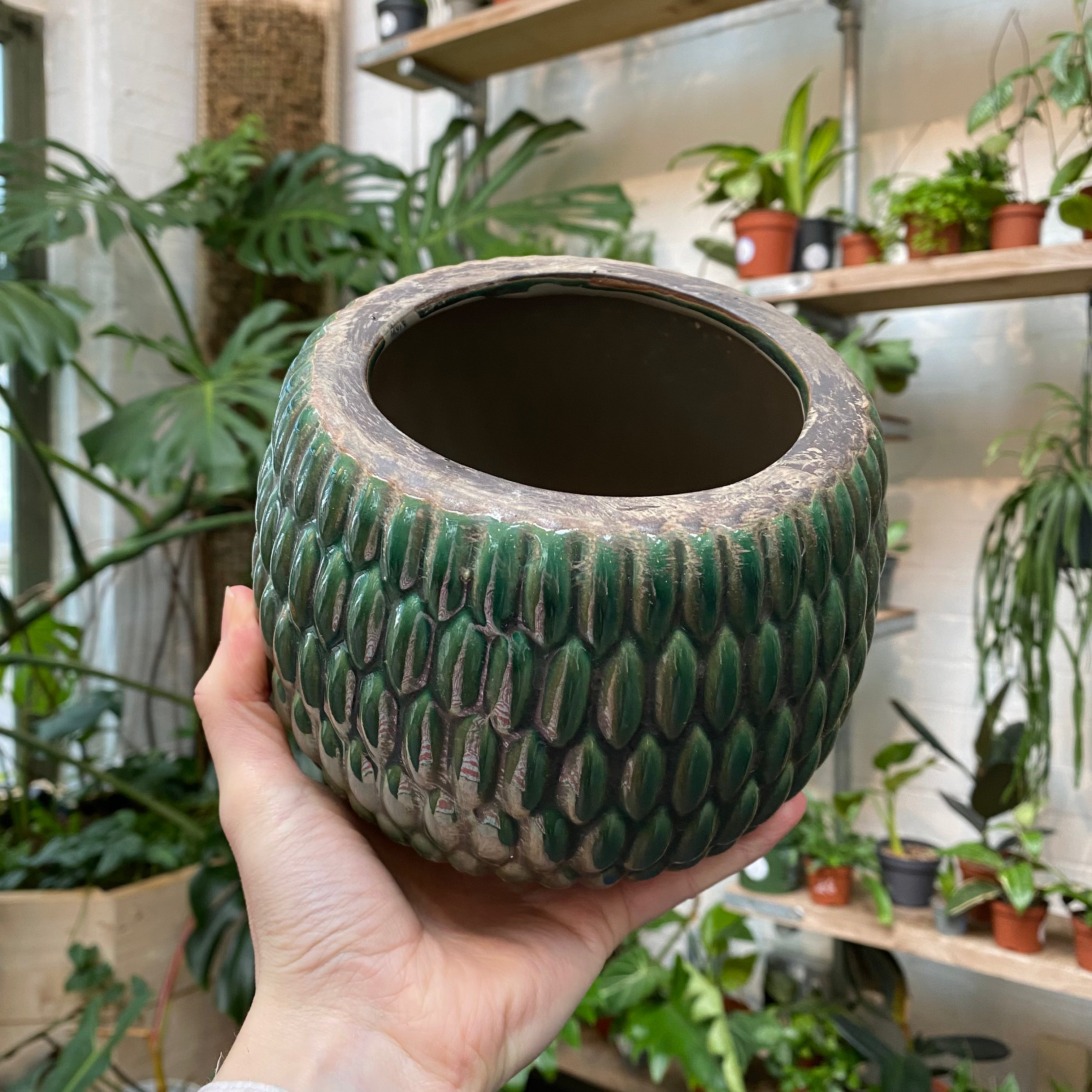 Armadillo Decorative Pot