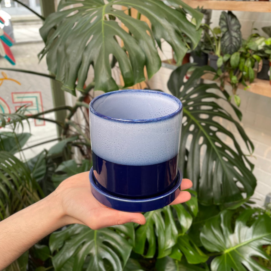 A hand extends, showcasing a deep blue ceramic pot that transitions into a frosted sky blue at the top, set before a lush backdrop of tropical monstera leaves.