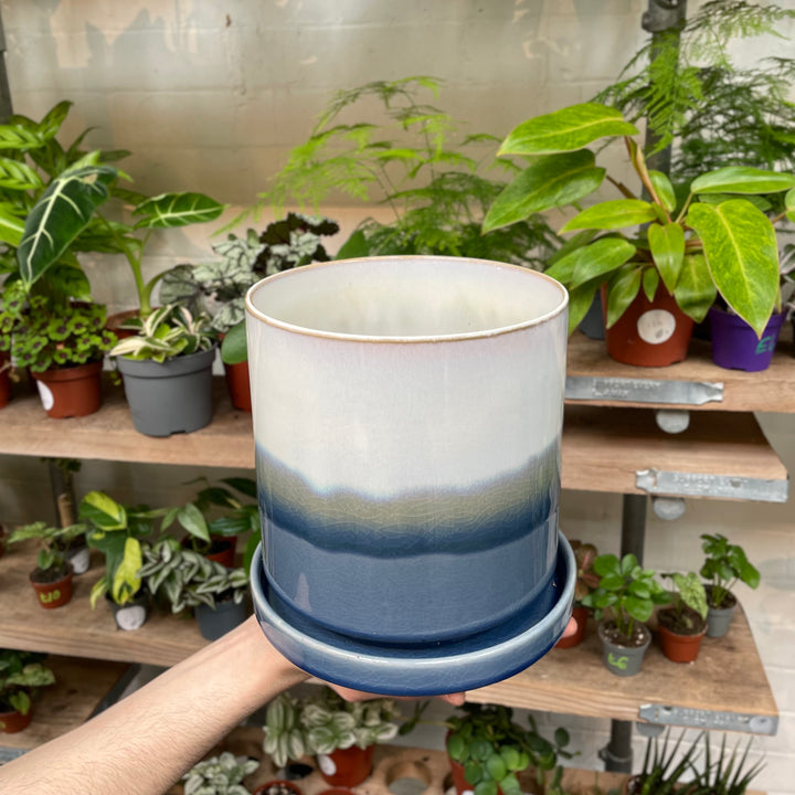 An outstretched hand displays a large ceramic pot featuring a gradient from a deep sea blue at the base to a soft seafoam green, capped with a white rim, with a verdant array of potted plants arrayed on shelves in the background.
