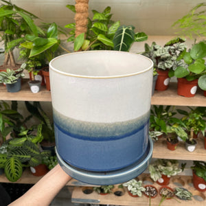 An outstretched hand displays a large ceramic pot featuring a gradient from a deep sea blue at the base to a soft seafoam green, capped with a white rim, with a verdant array of potted plants arrayed on shelves in the background.