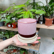 A hand carefully displays a ceramic pot with a smooth gradient from a deep burgundy base to a dusty rose top, encircled by a creamy rim, against a background filled with a variety of potted indoor plants.