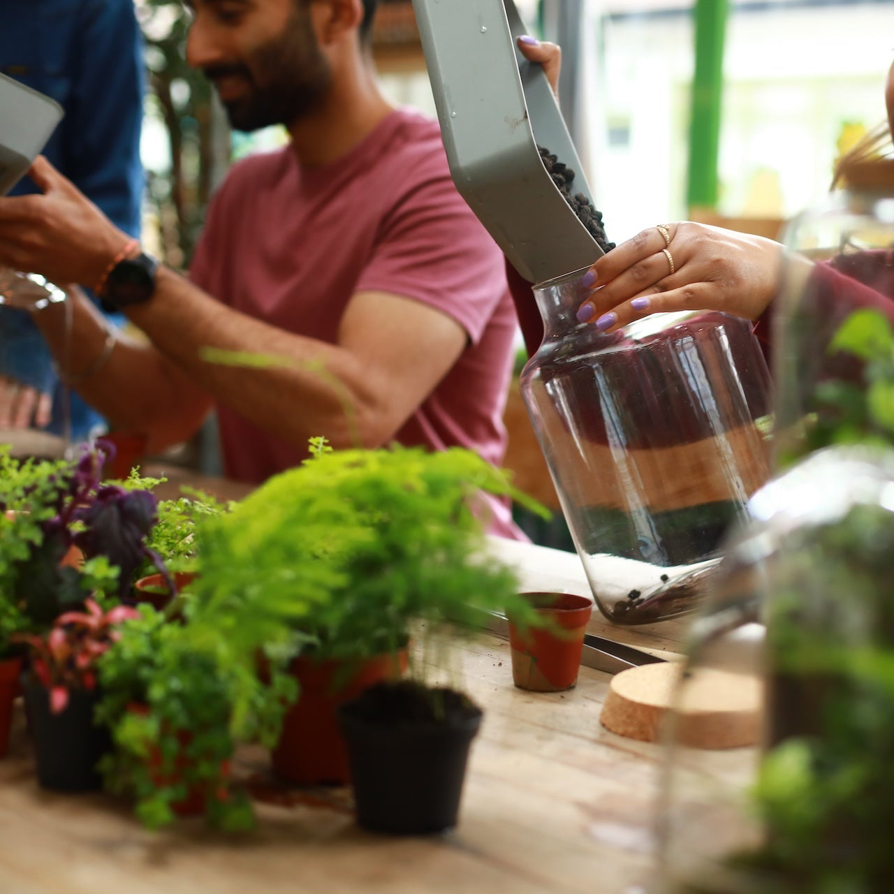 person building a closed terrarium