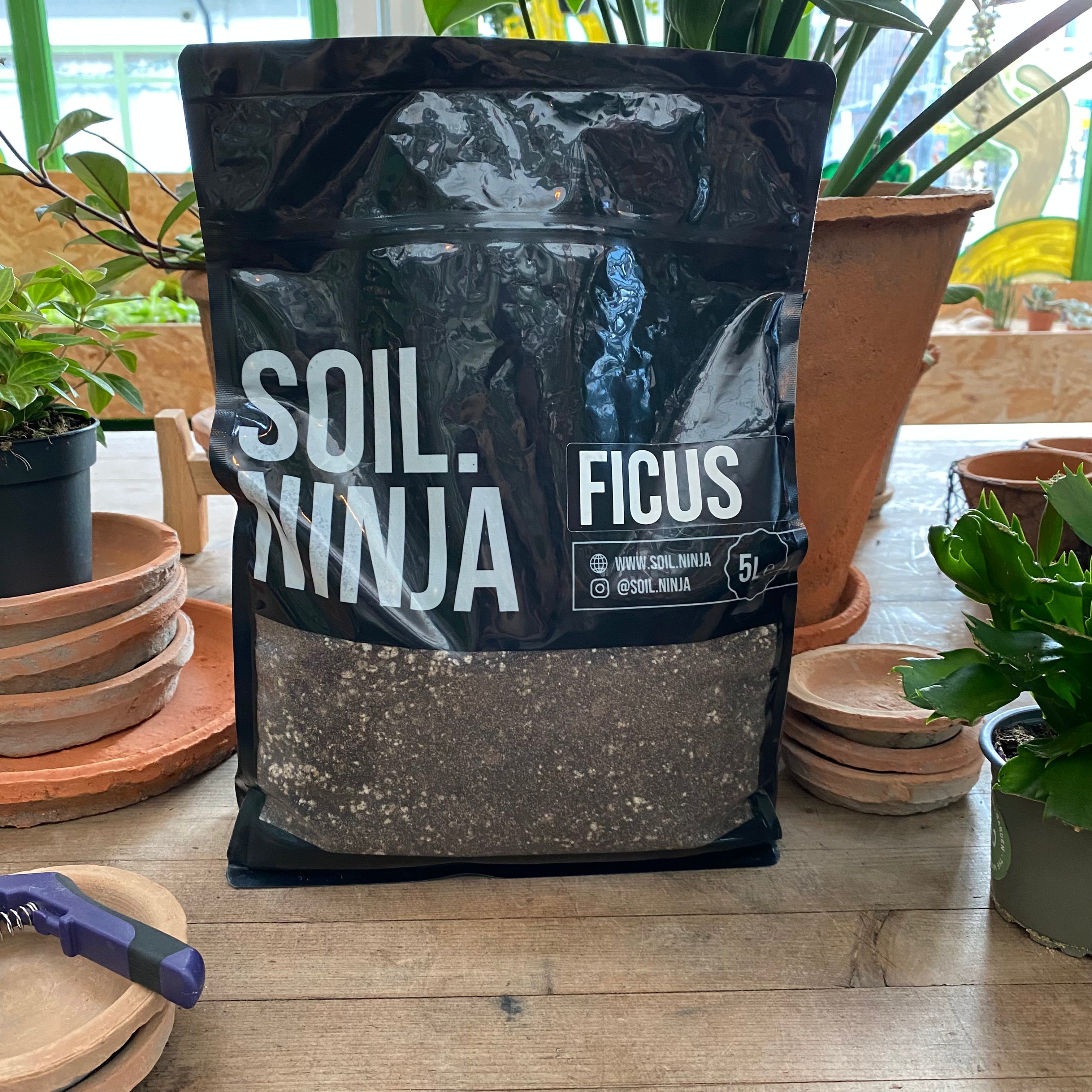 Ficus Soil Mix