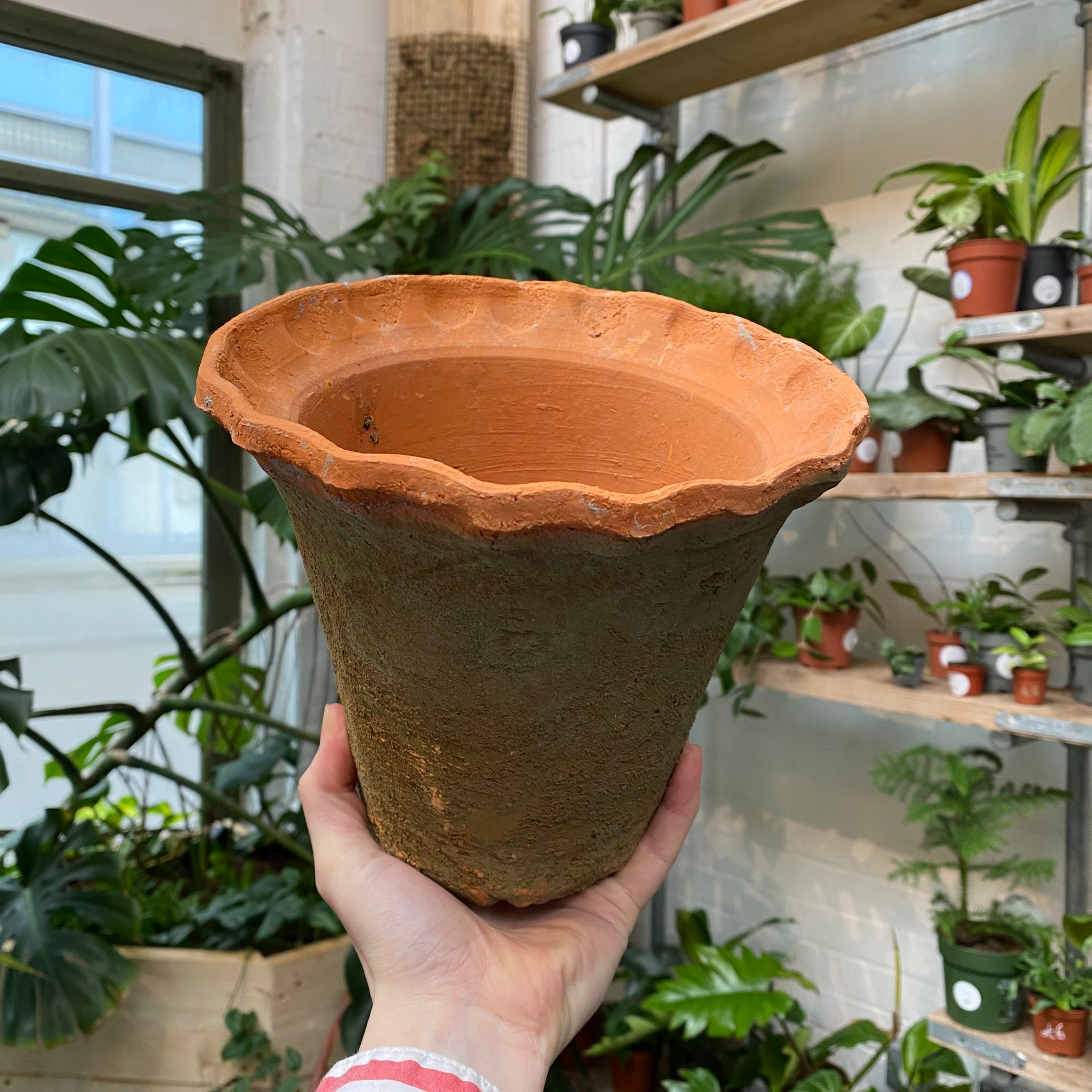 Frilled Terracotta Pot