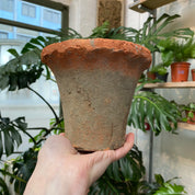 Frilled Terracotta Pot