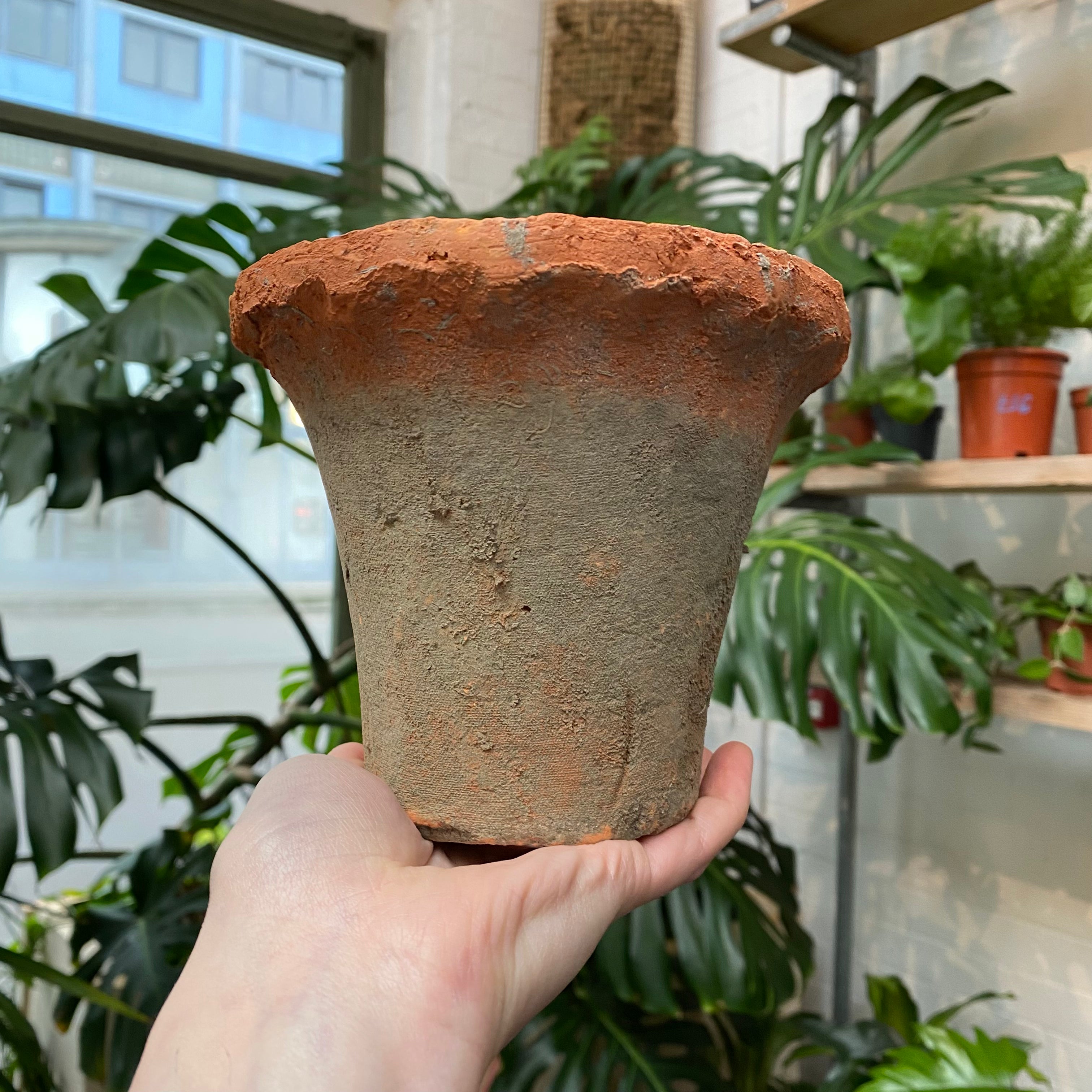 Frilled Terracotta Pot