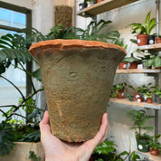 Frilled Terracotta Pot
