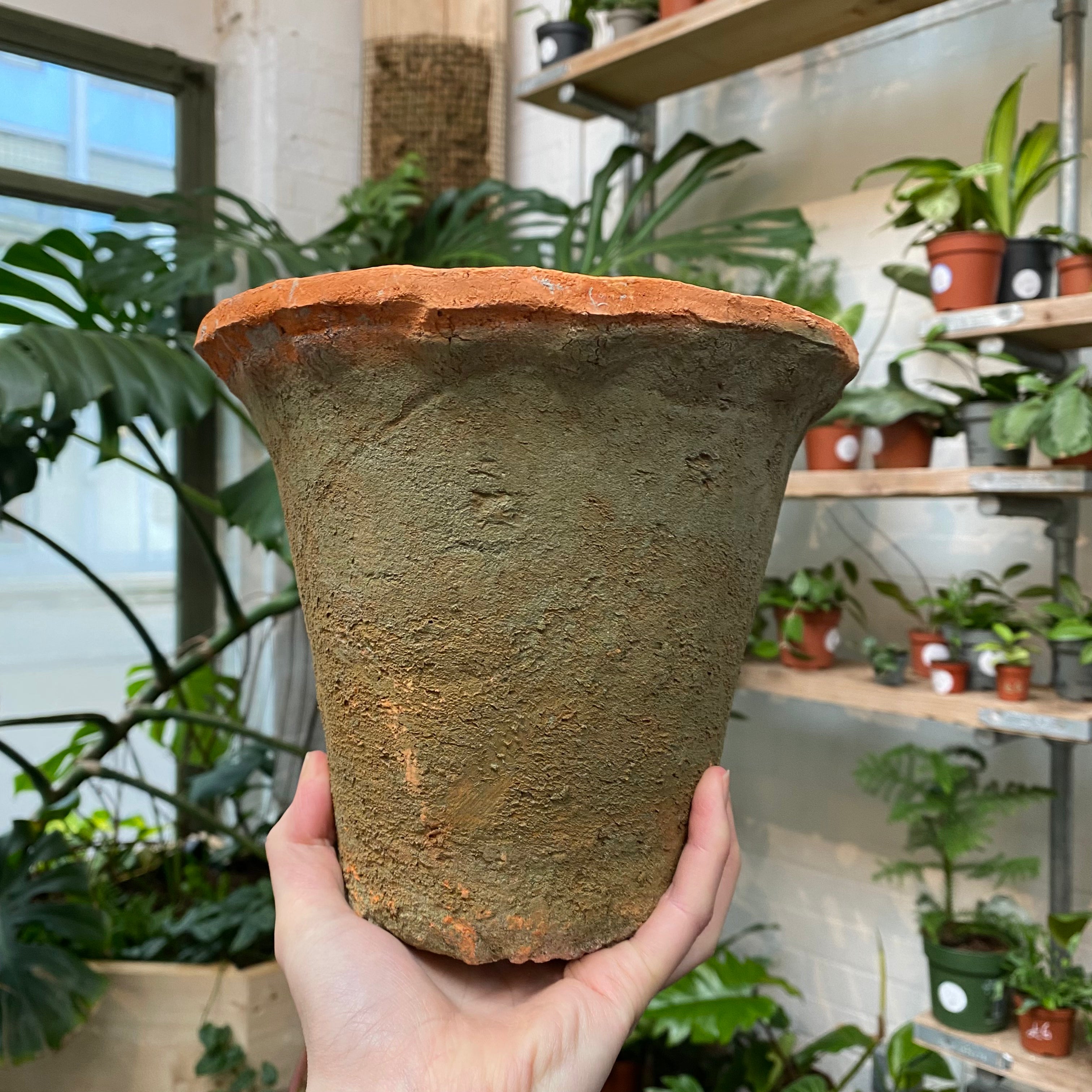 Frilled Terracotta Pot