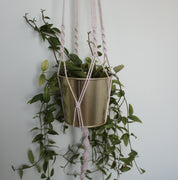 Macrame Plant Hangers Workshop
