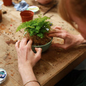 person making a kokedama