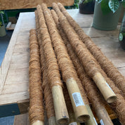Moss Pole
