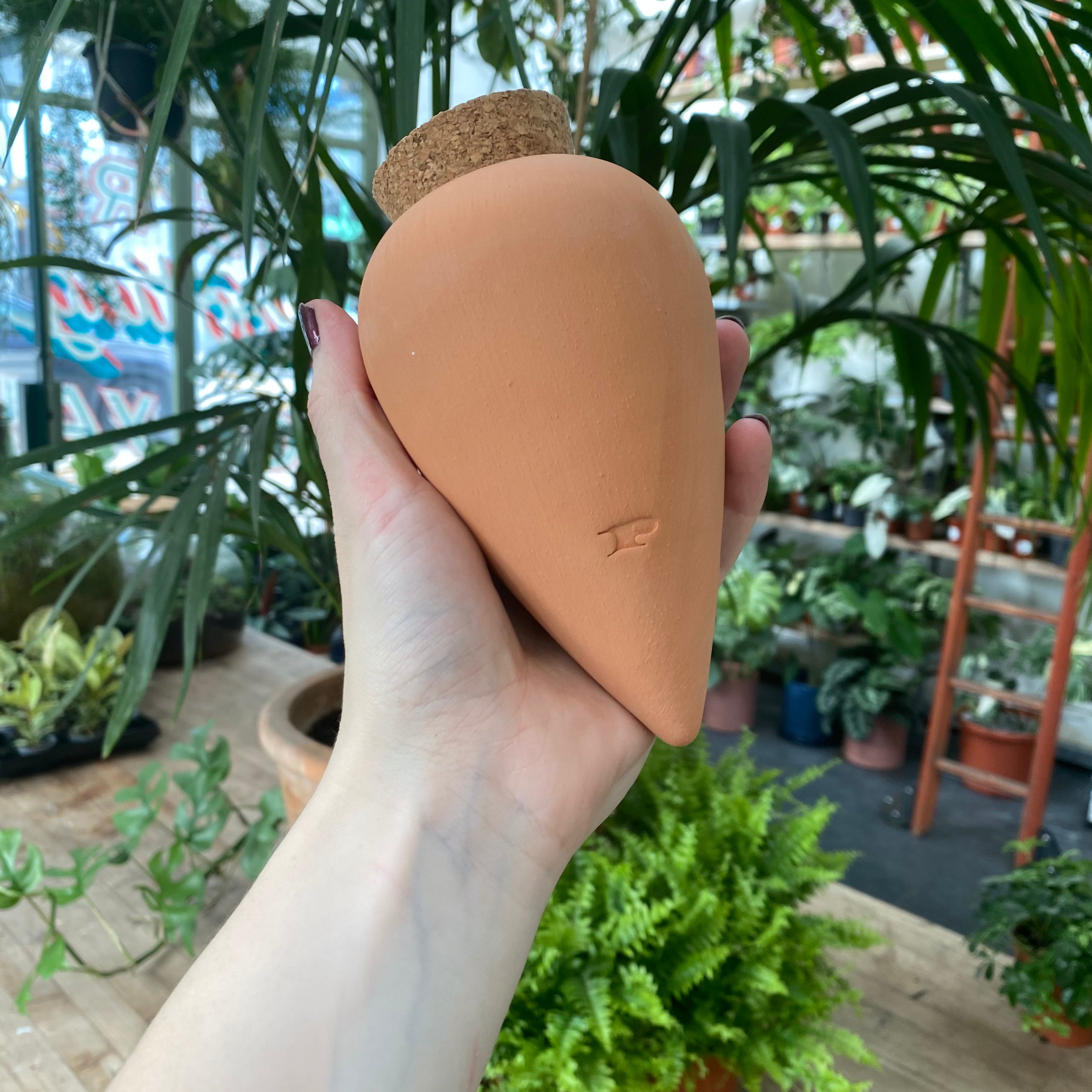 Olla - Self Watering System