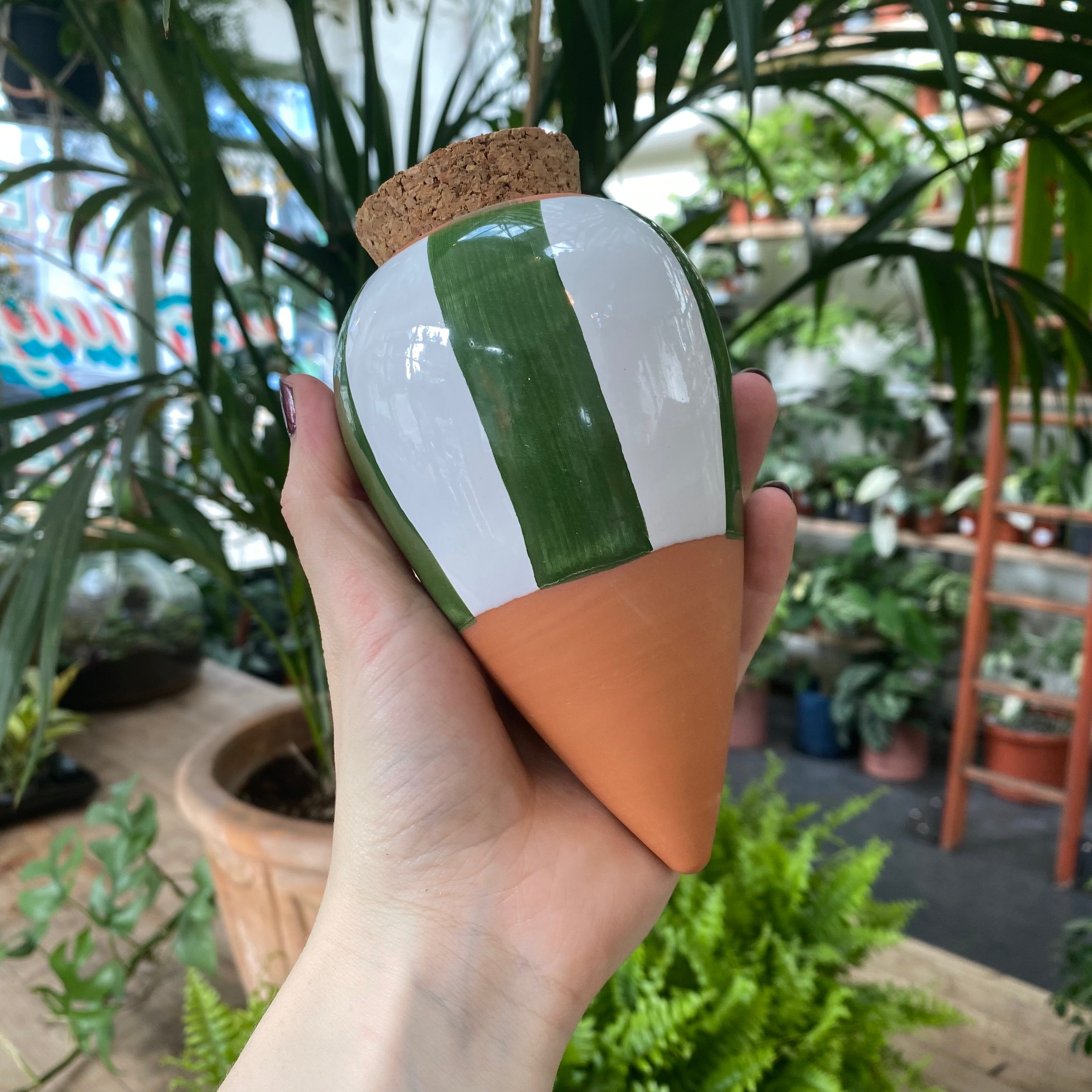 Olla - Self Watering System