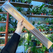 Plant Supports