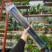 Plant Supports