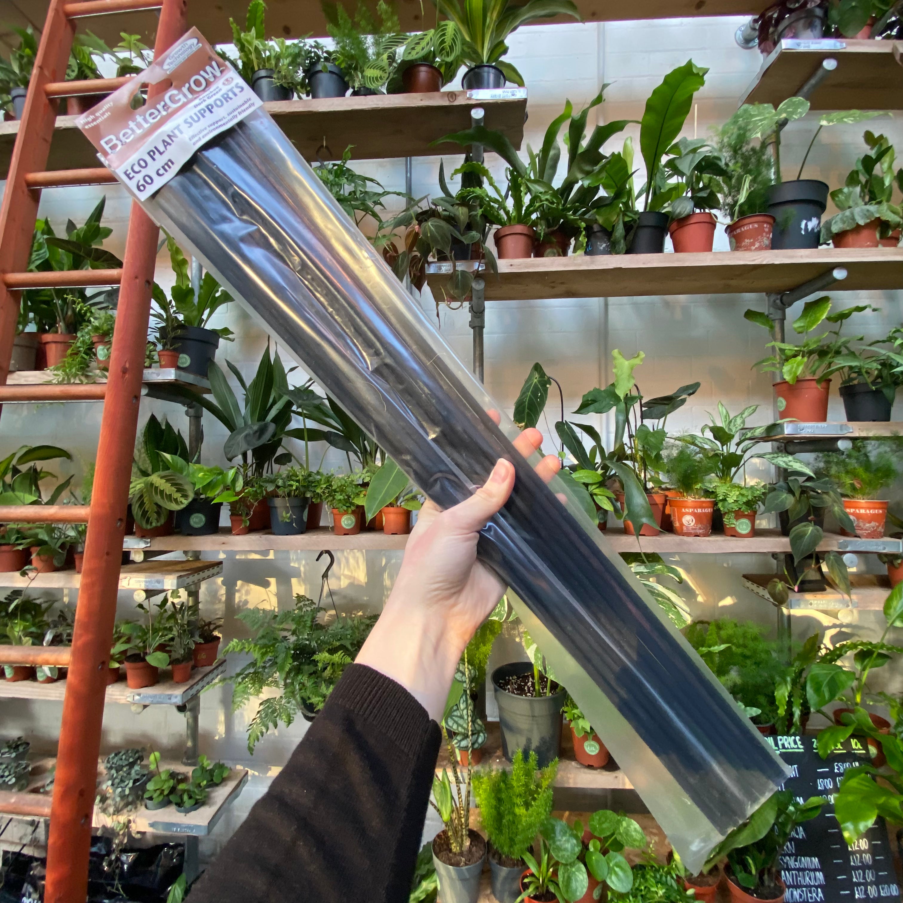 indoor plant supports uk Plant Supports – The Watered Garden
