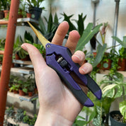 Pruning Scissors