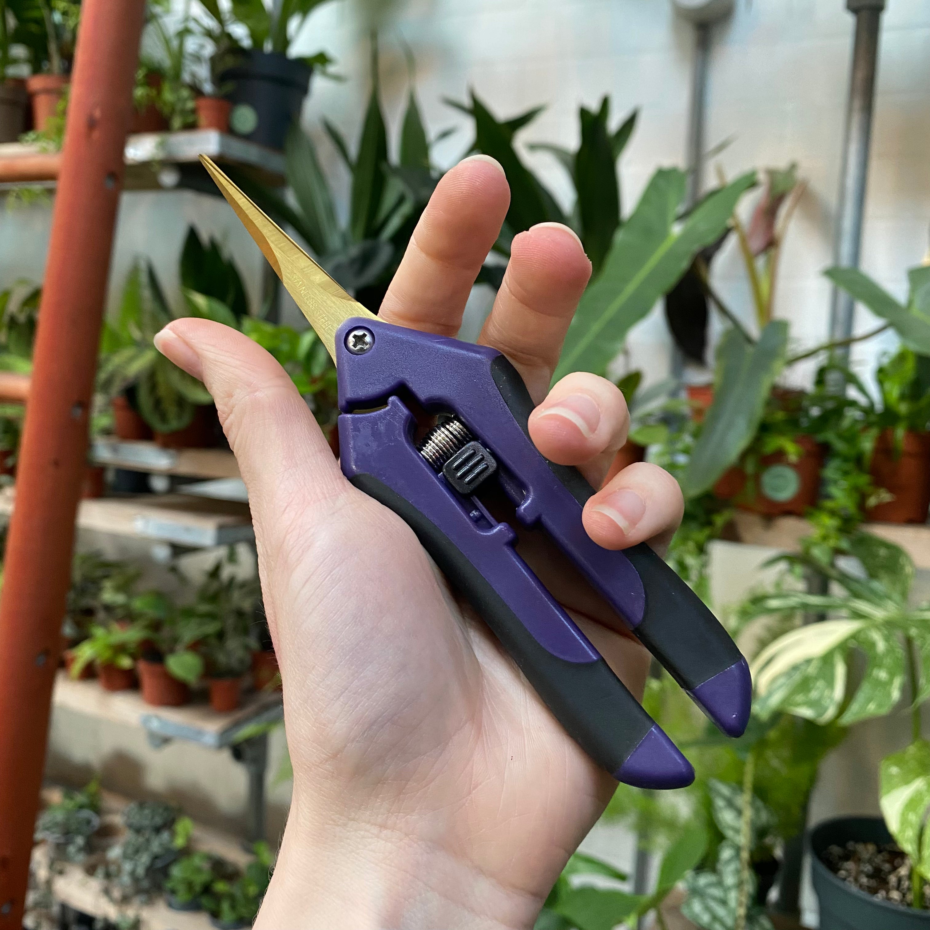 Pruning Scissors