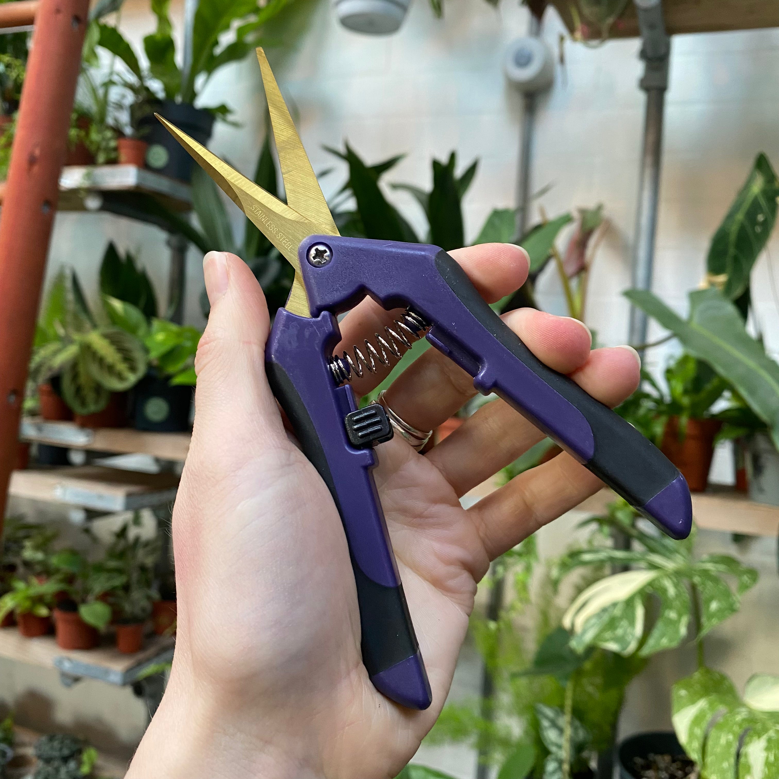 Pruning Scissors