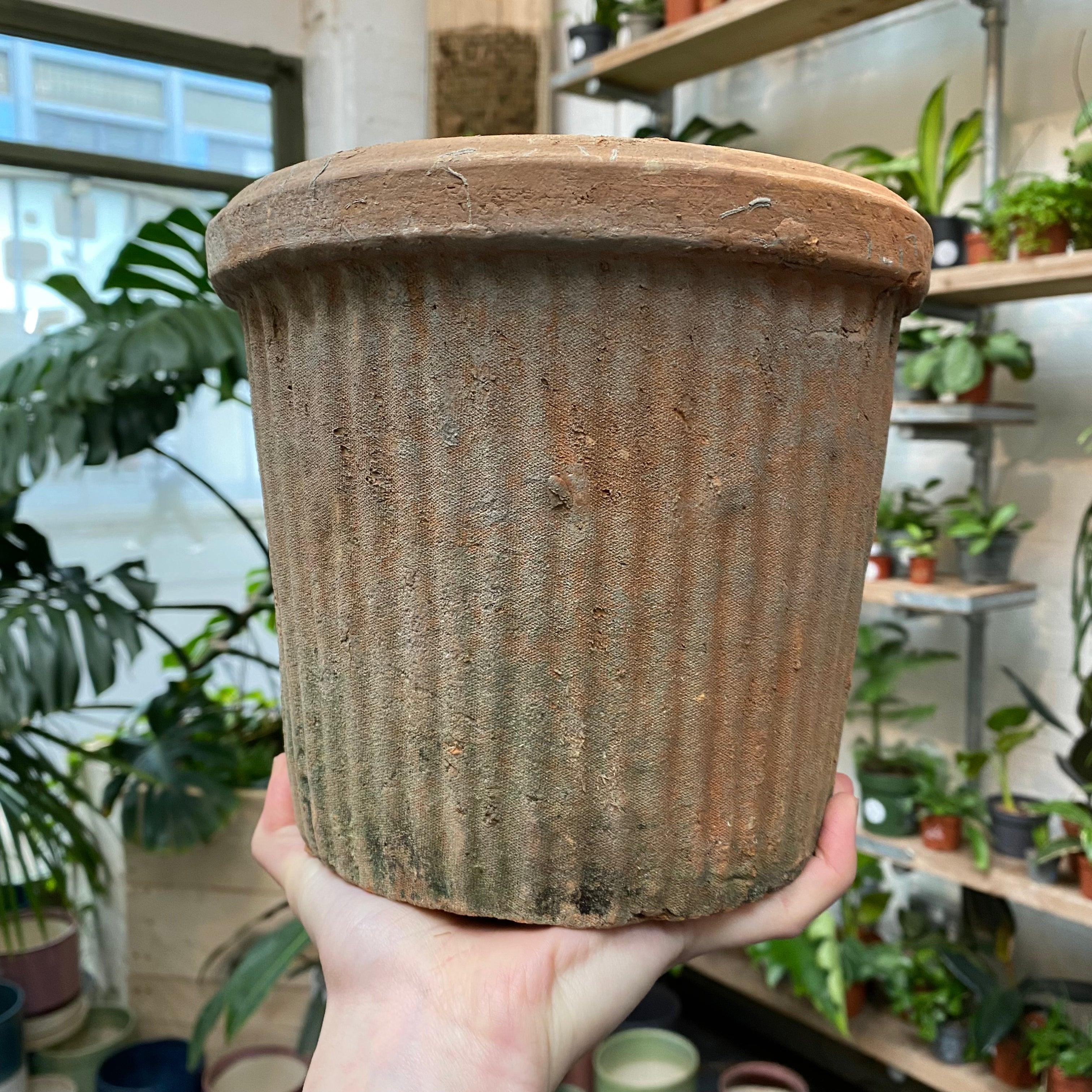 Ribbed Terracotta Pot