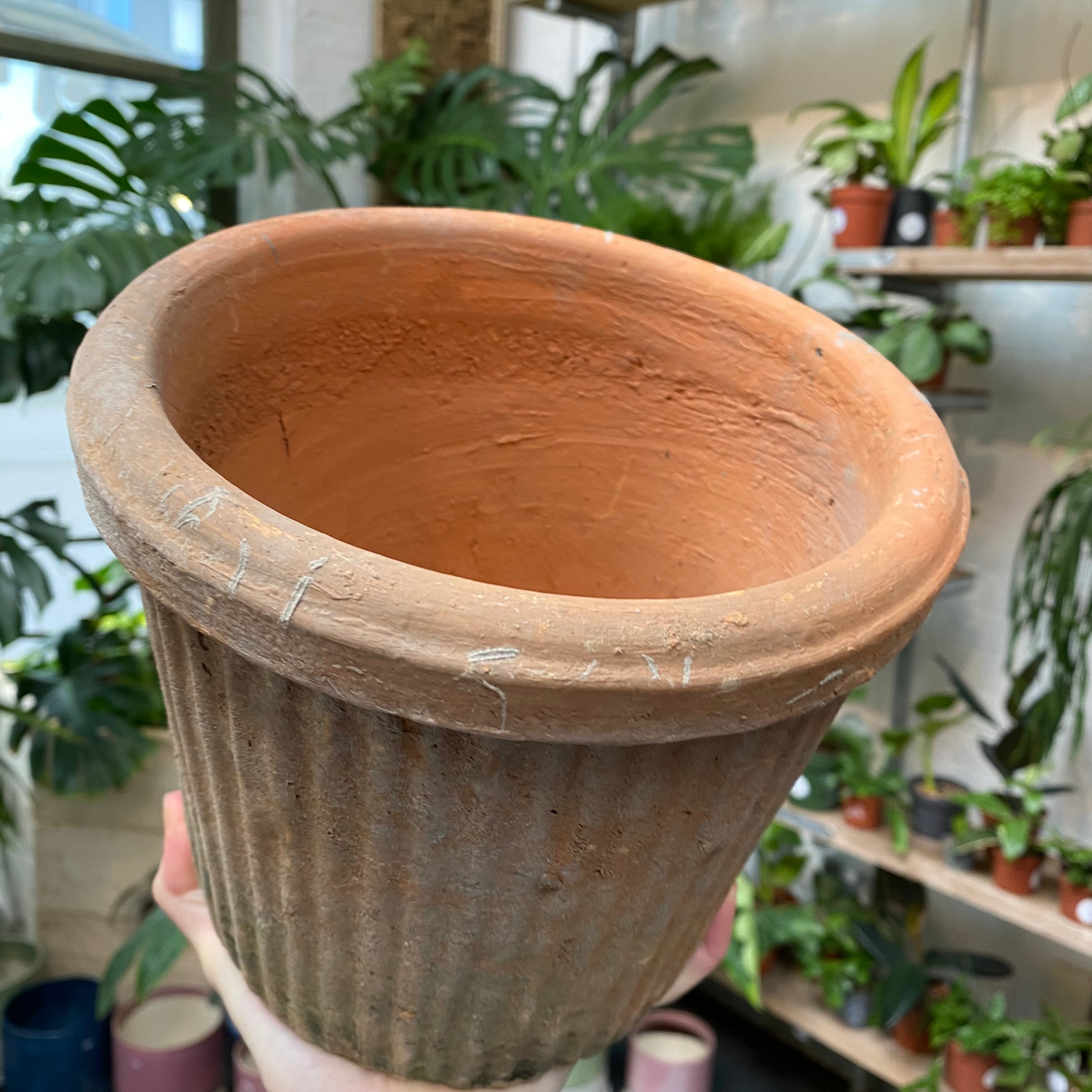Ribbed Terracotta Pot