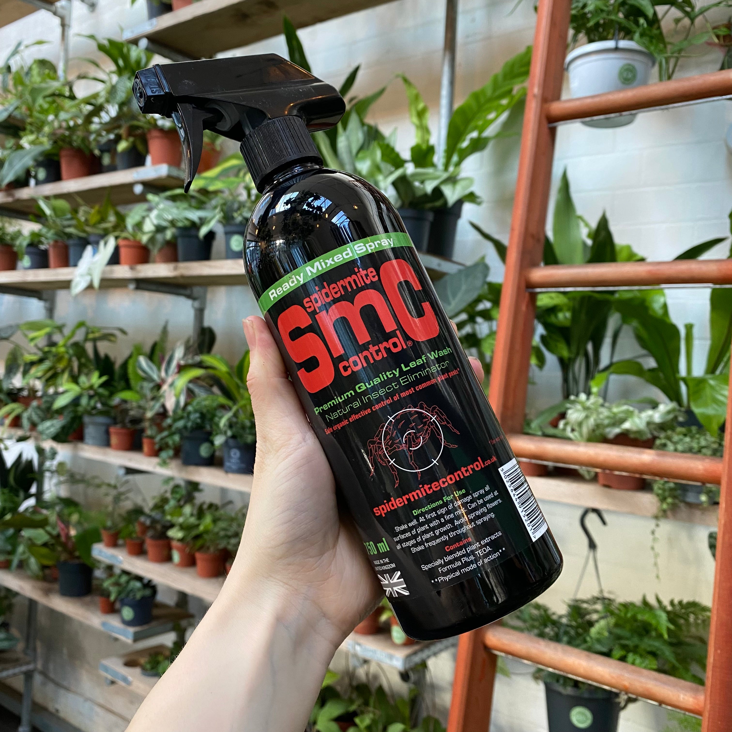 plant spider mite spray Spidermite Control – The Watered Garden