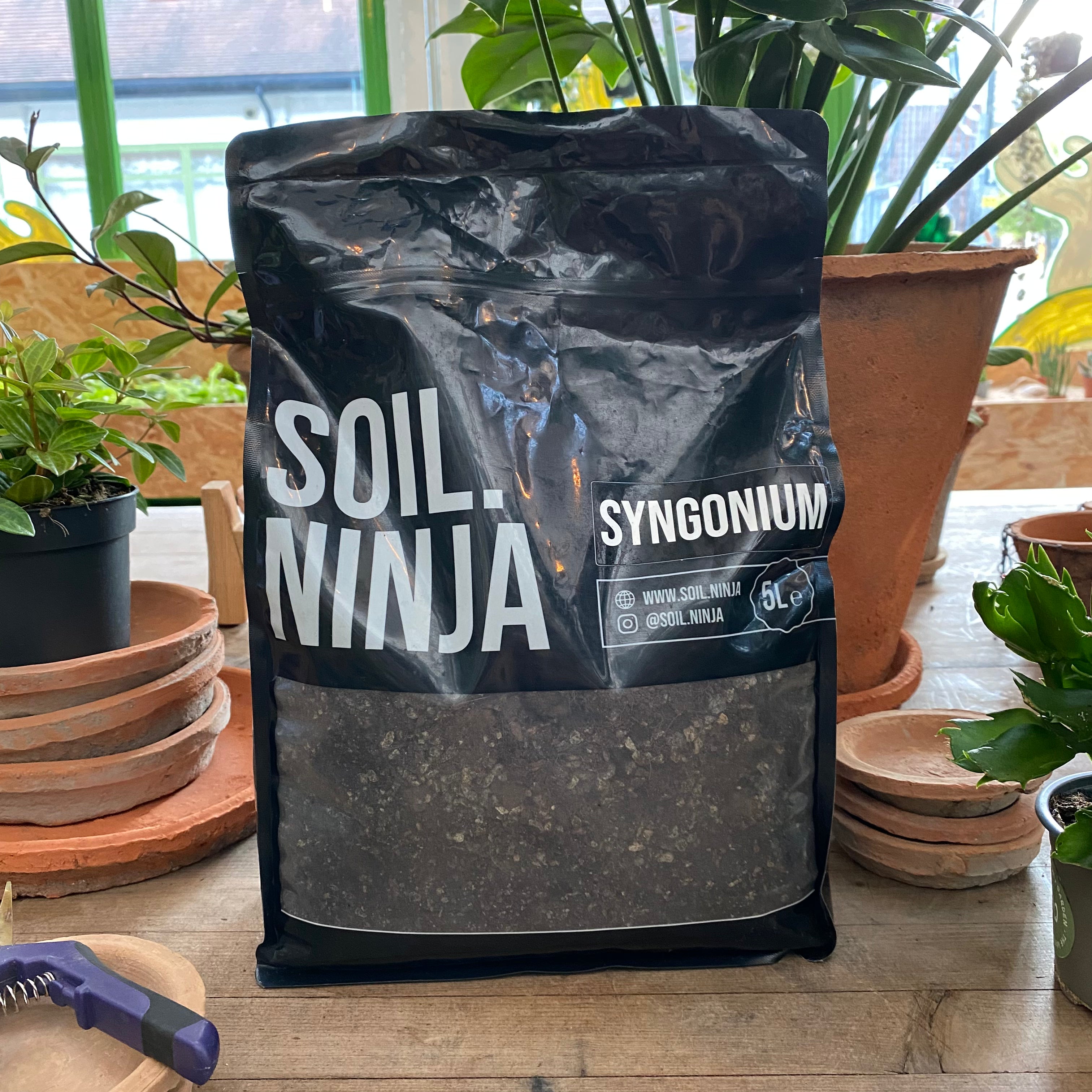 Syngonium Soil Mix