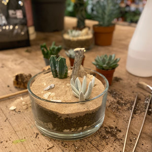 Cacti & Succulent Terrarium Workshop