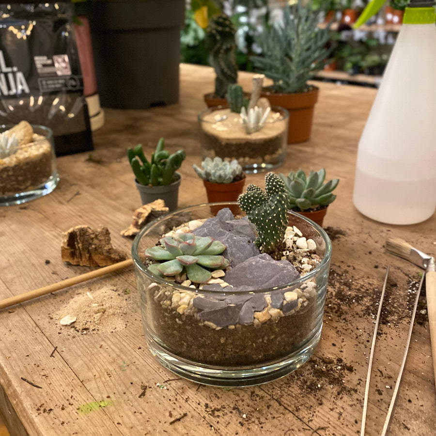 Cacti & Succulent Terrarium Workshop