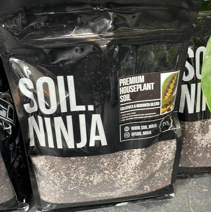 Calathea and Maranta Soil Mix