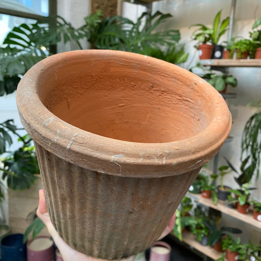 Antiqued Terracotta Pot