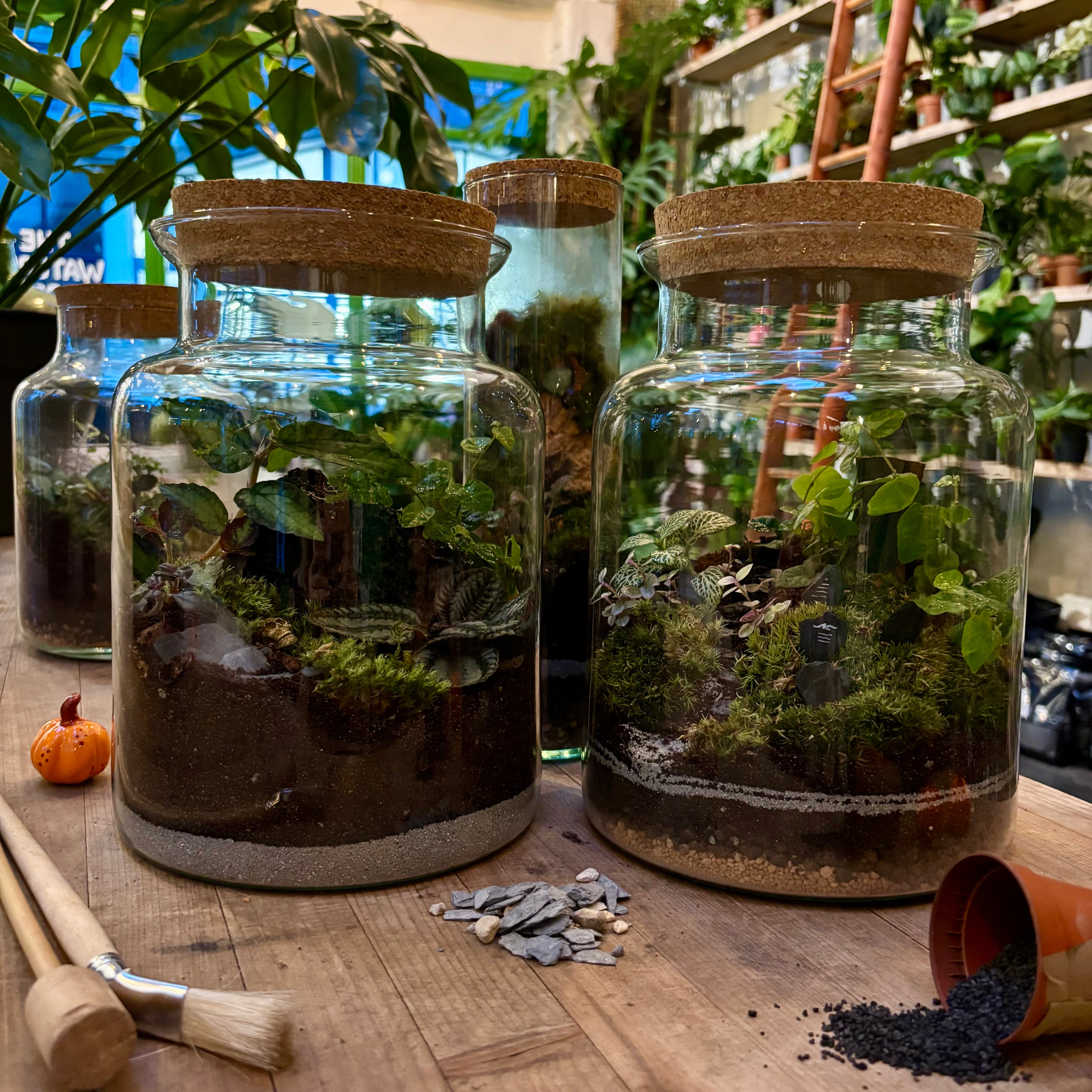 Halloween_Terrarium_001.heic