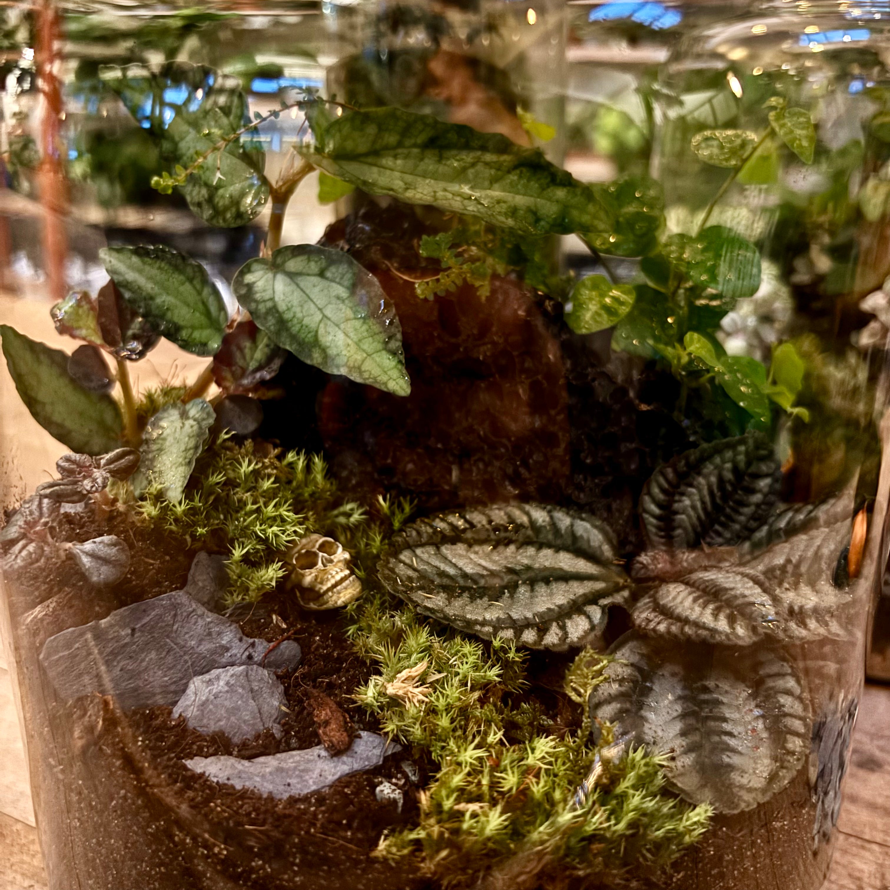 Halloween_Terrarium_002.heic