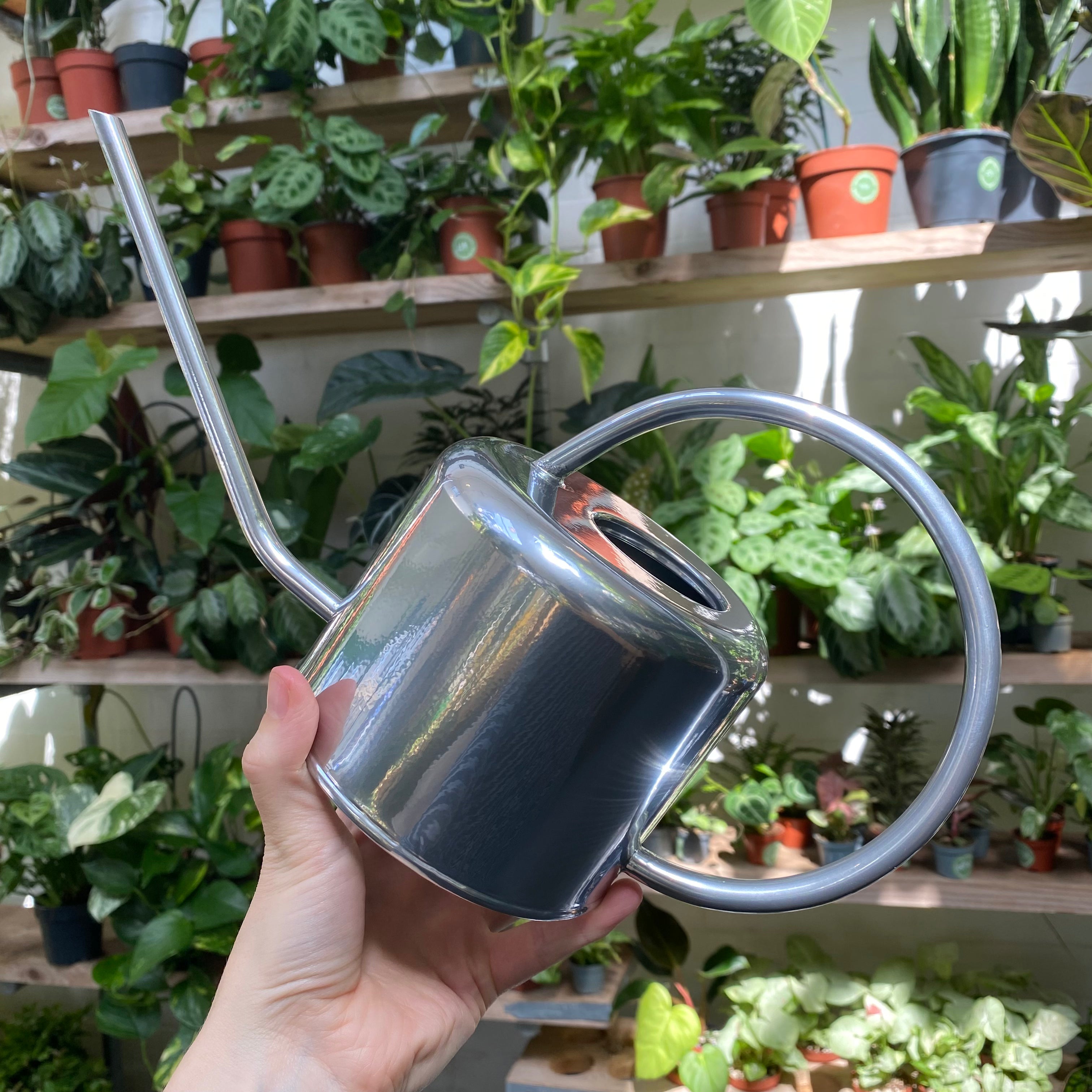 Indoor Watering Can