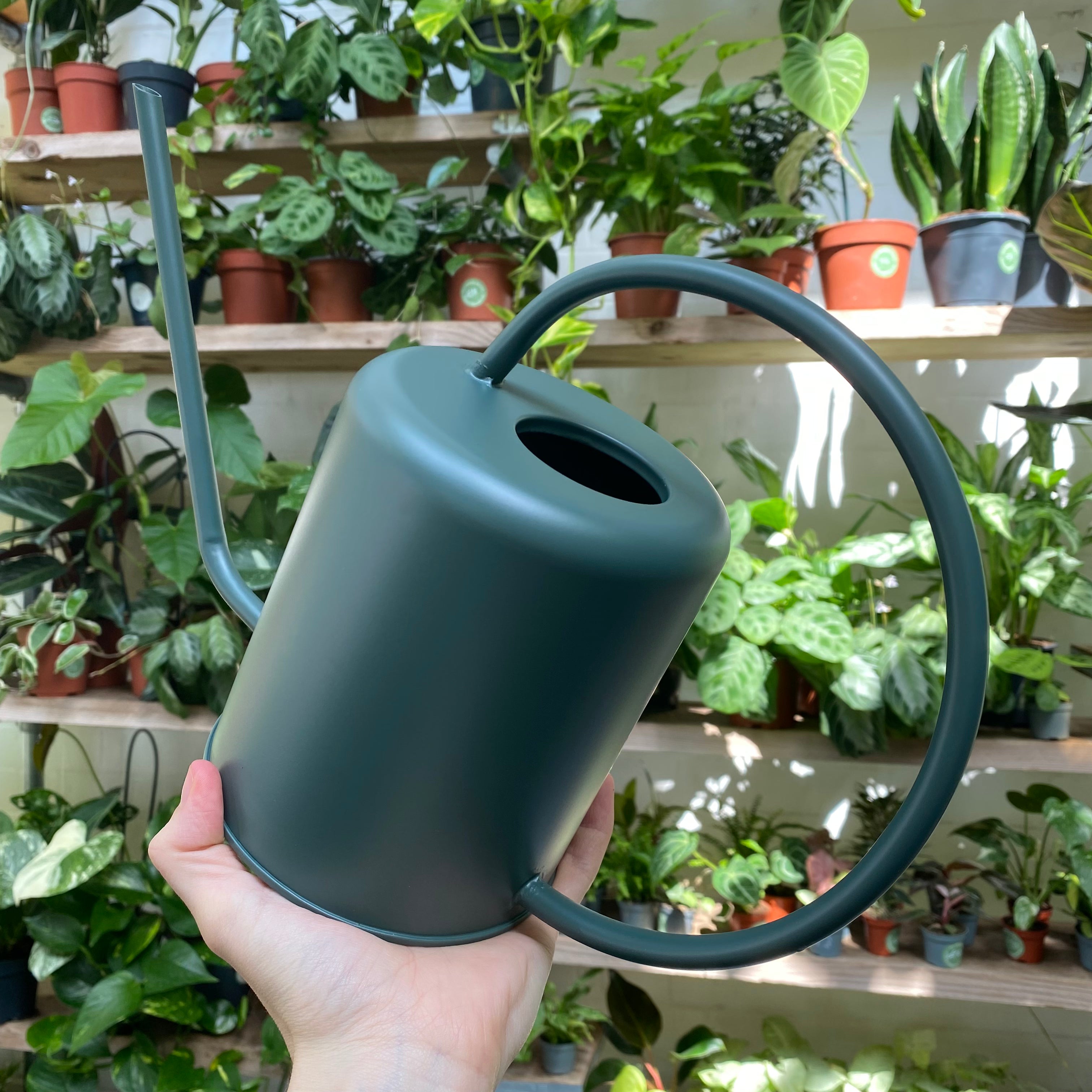 Indoor Watering Can
