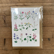 Greeting Cards