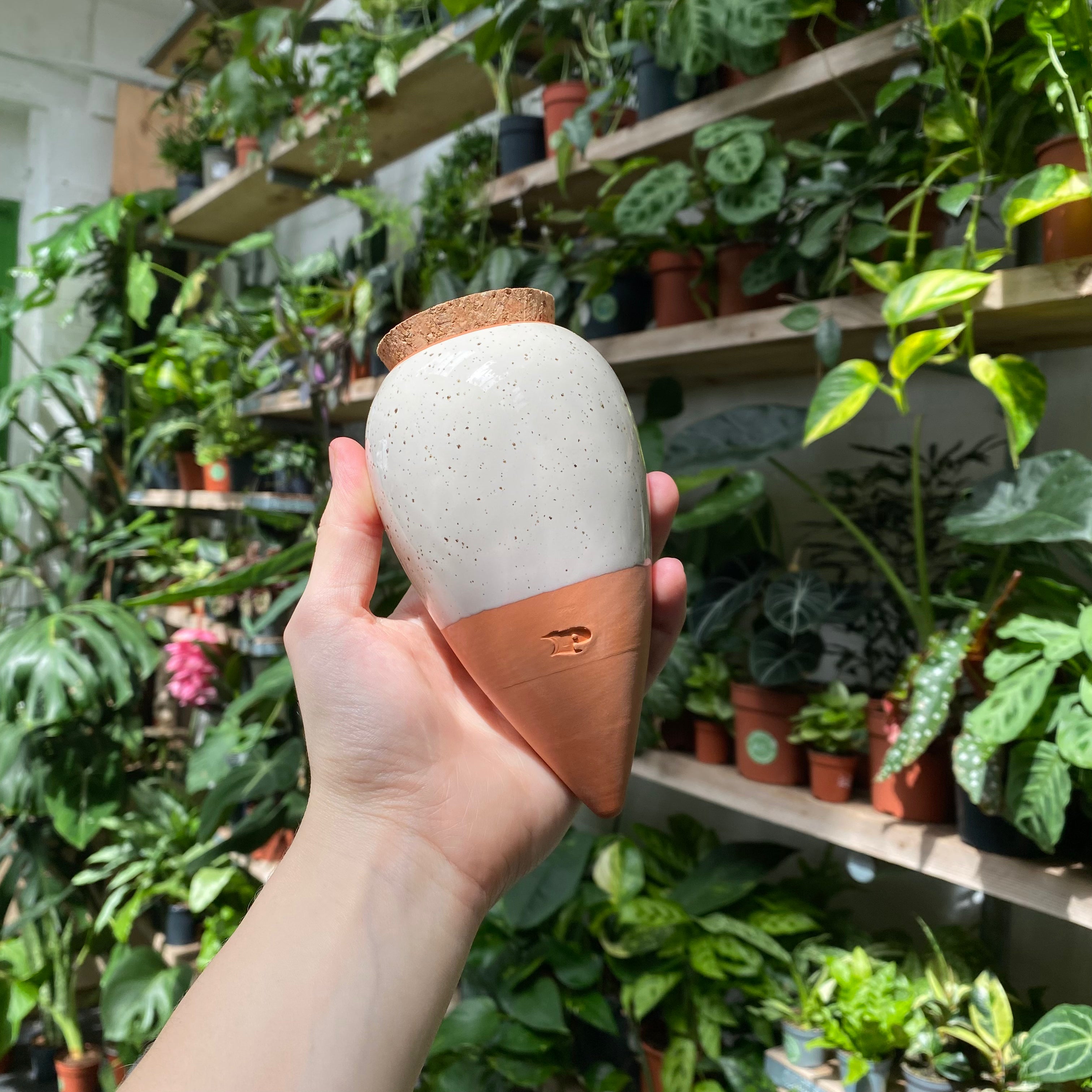 Olla - Self Watering System