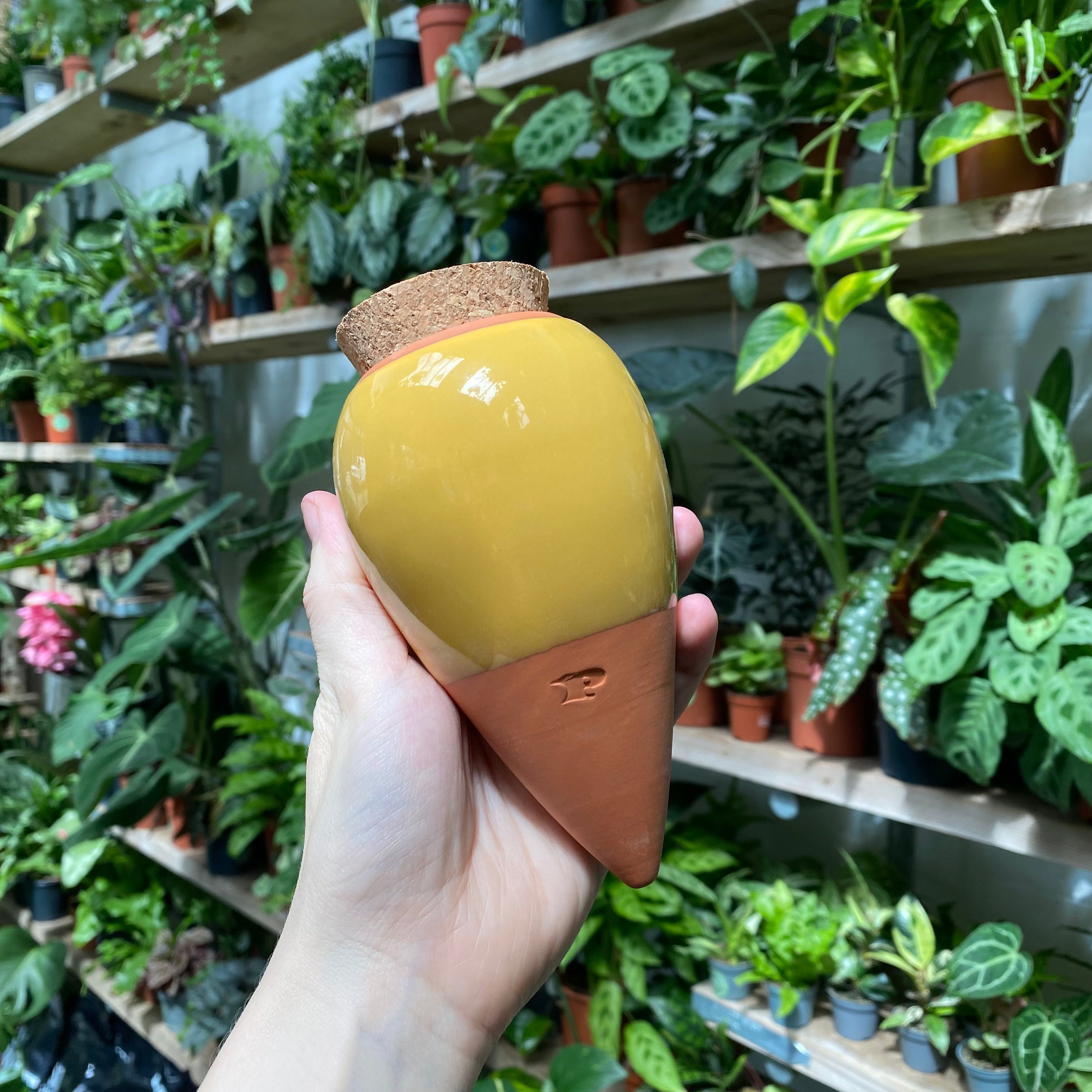 Olla - Self Watering System